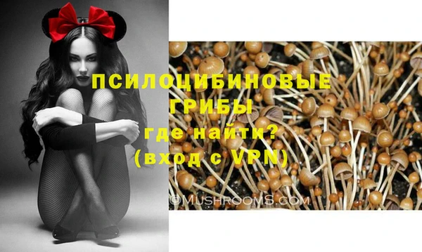 мяу мяу кристалл Алексин