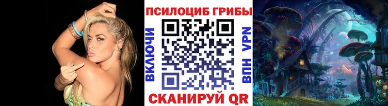 Галлюциногенные грибы мухоморы  где купить   Ижевск 