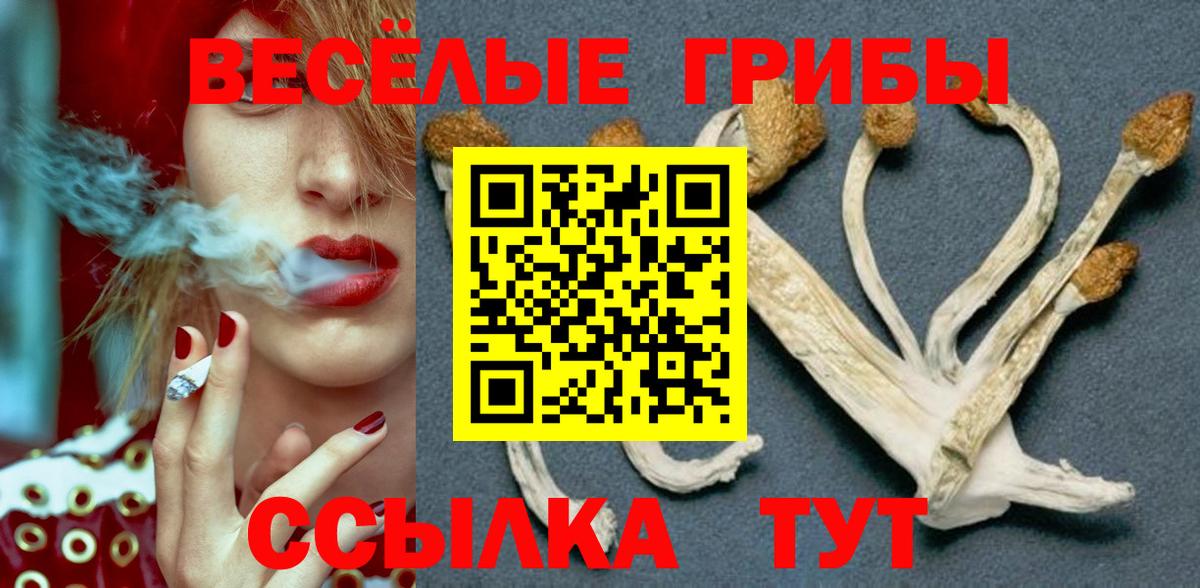Псилоцибиновые грибы GOLDEN TEACHER Ижевск