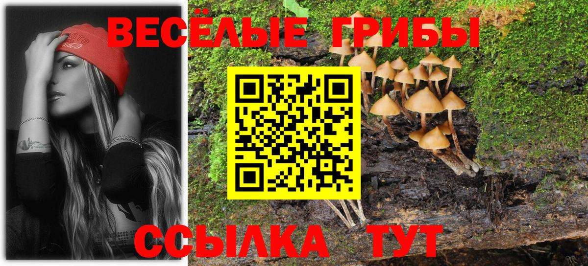 Ижевск  Псилоцибиновые грибы мухоморы  Вход с VPN  Псилоцибиновые грибы Psilocybe 