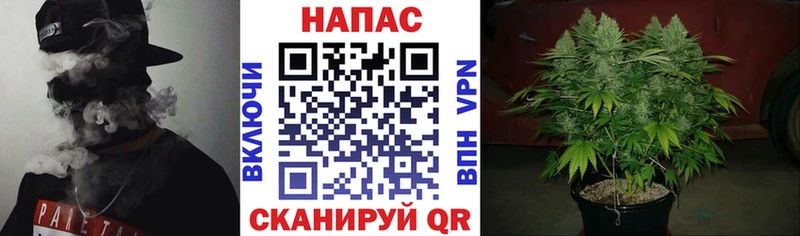 Бошки марихуана марихуана  Ижевск 